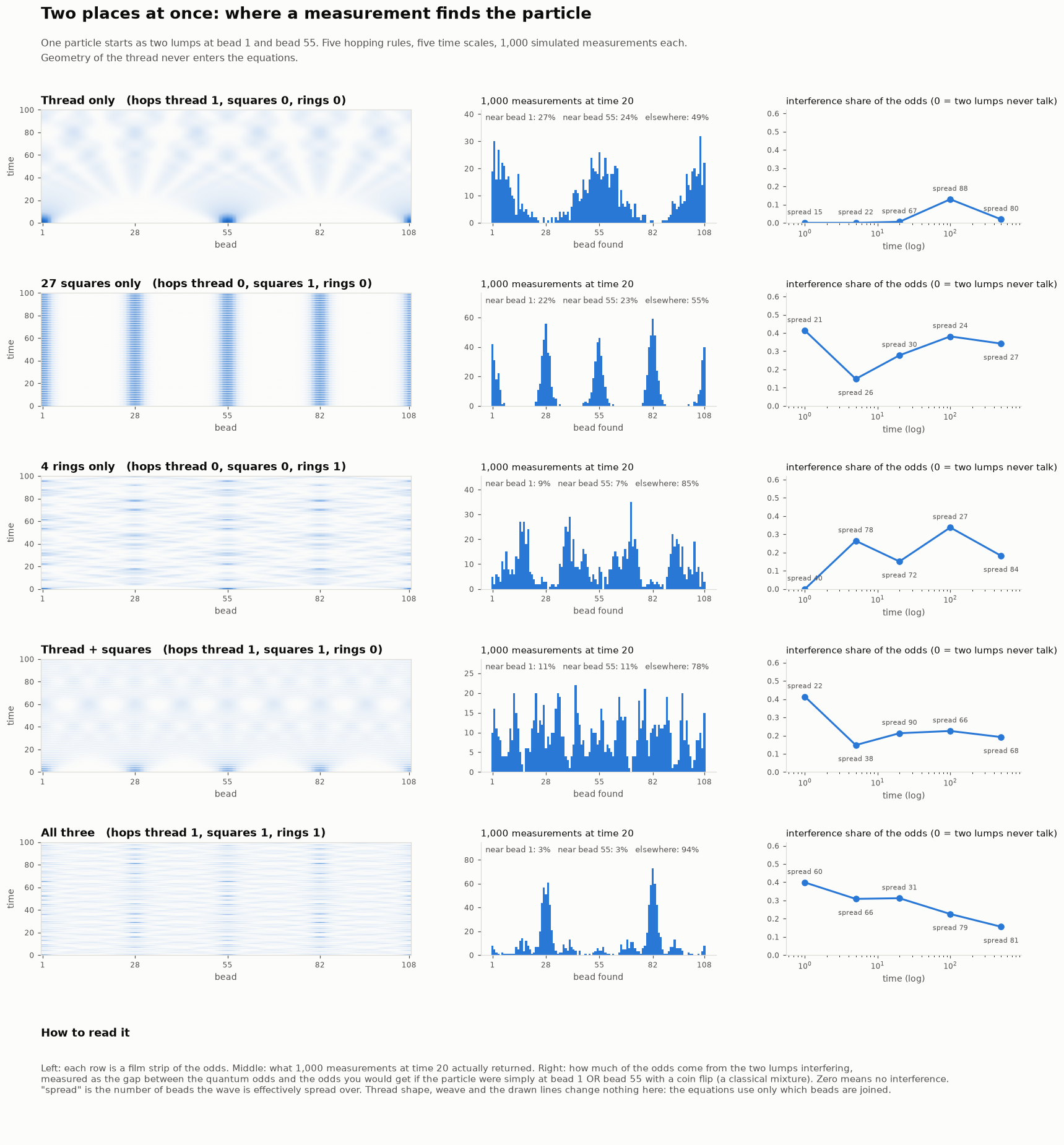 Experiment 1 report: for five hopping rules, a film strip of the probabilities over time, a histogram of 1,000 measurements at time 20, and the share of the odds due to interference at five times.